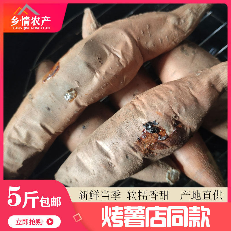榆林香蕉薯榆林黄皮黄心白心红薯绥德当季大果富硒新鲜掏菜菜5斤