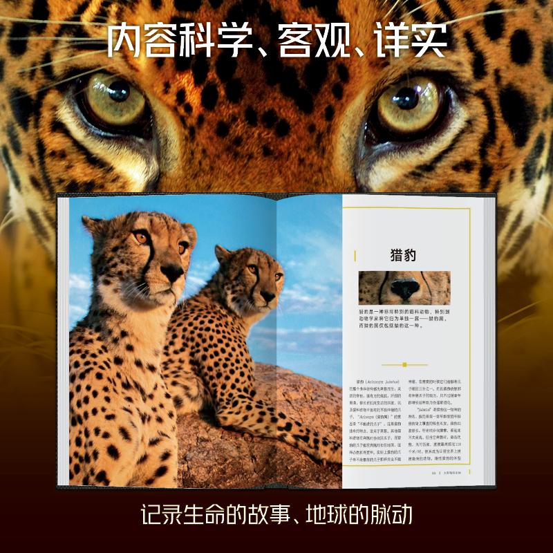 【新华文轩】美国国家地理第一辑全4册7-14岁阅读少儿科普草原之主未至之境蔚蓝之境山峰之巅河流之旅森林之歌万物有灵儿童读物