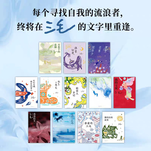三毛作品全集12册 新版套装 亲爱的三毛我的宝贝撒哈拉的故事万水千山走遍雨季不再来我的灵魂骑在纸背上三毛游文学随笔畅销书籍 - 图0