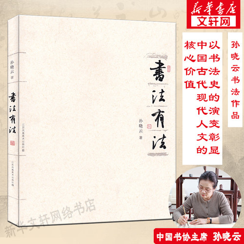 【官方正版】书法有法 孙晓云著 中国书协主席孙晓云书法理论作品 中国传世书法技法 书法名家名品经典书法文化大观分析与训练典籍 - 图2
