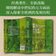 Genuine in stock European Medieval History 11th Edition Classic of Medieval Studies World History European History Books Classics of European Medieval History Research Medieval Roots of Current Society