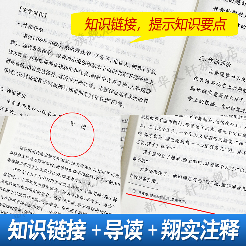 骆驼祥子原著正版 老舍著 世界名著 人民文学出版社推荐书目/789年级初中生青少年/语文海底两万里书课外书 - 图3