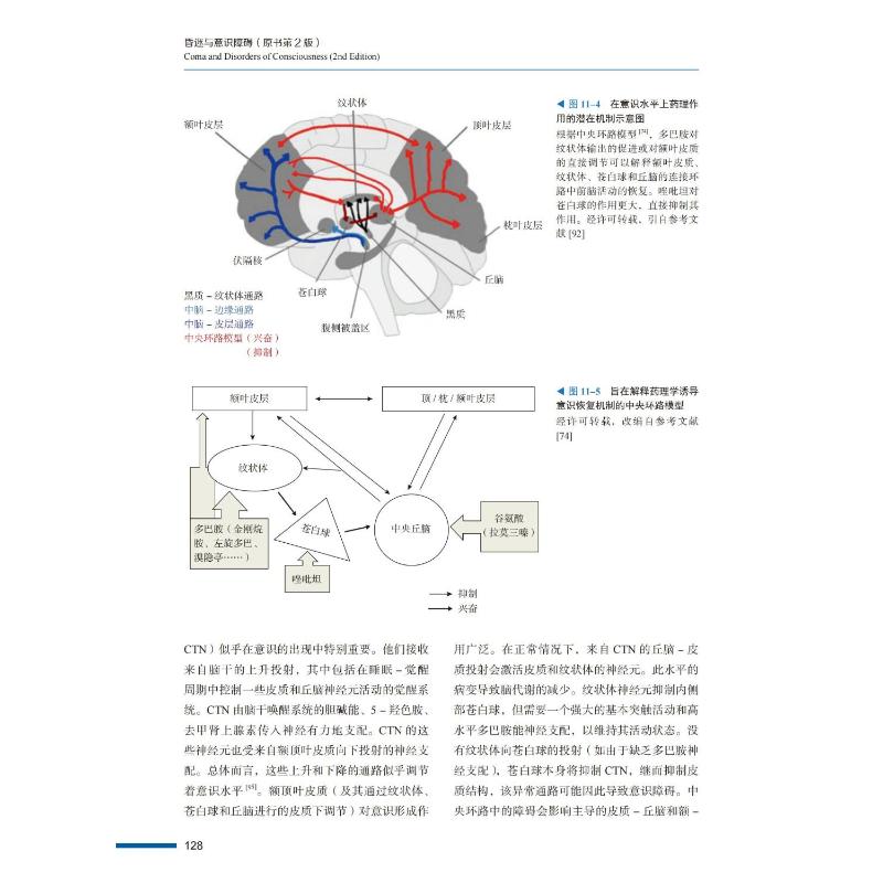 昏迷与意识障碍 原书第2版 (美)卡罗琳·施纳克斯,(比)史蒂文·劳瑞斯 正版书籍 新华书店旗舰店文轩官网 中国科学技术出版社 - 图2