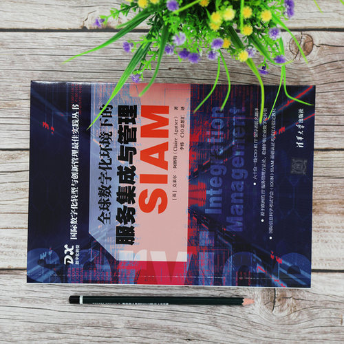 全球数字化环境下的服务集成与管理 SIAM (英)克莱尔·阿格特 正版书籍 新华书店旗舰店文轩官网 清华大学出版社 - 图0