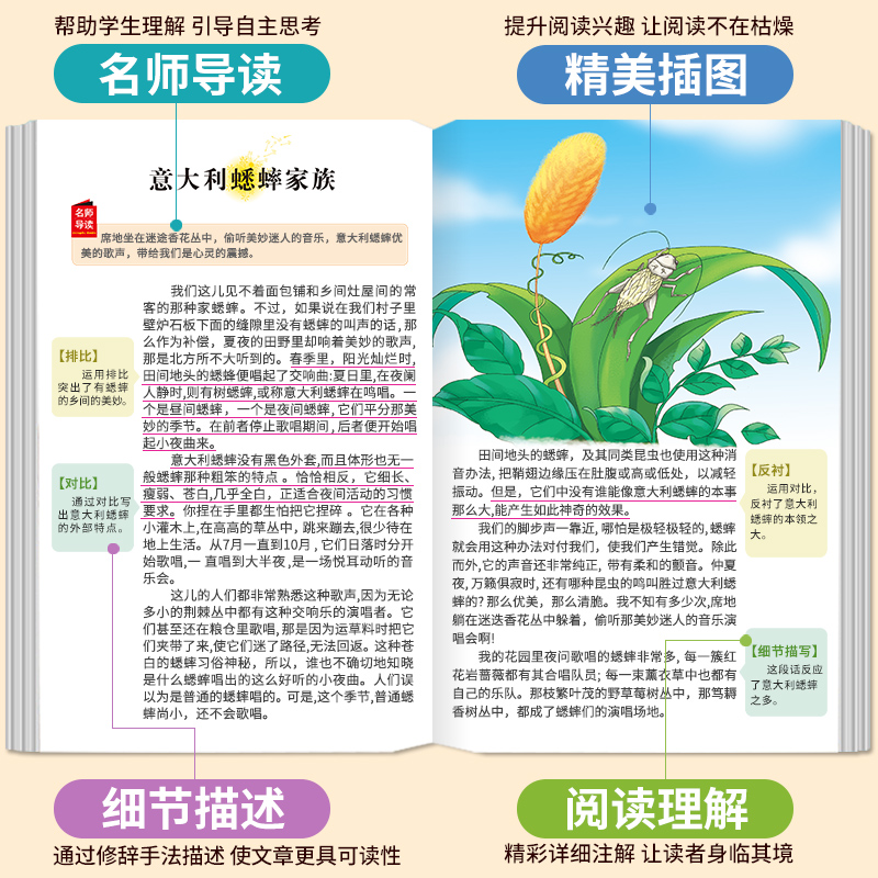 昆虫记法布尔正版原著完整版法布尔著全集小学生三四年级下册课外书必读推荐美绘版人民儿童文学教育阅读书籍山东美术出版社全册上 - 图0