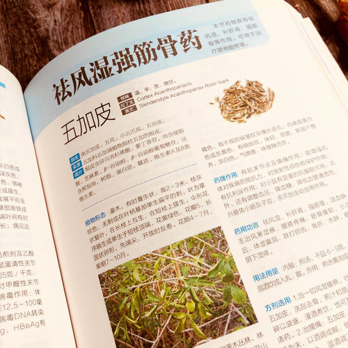 中草药全图鉴 温玉波,李海涛 主编 正版书籍 新华书店旗舰店文轩官网 江苏科学技术出版社 - 图2