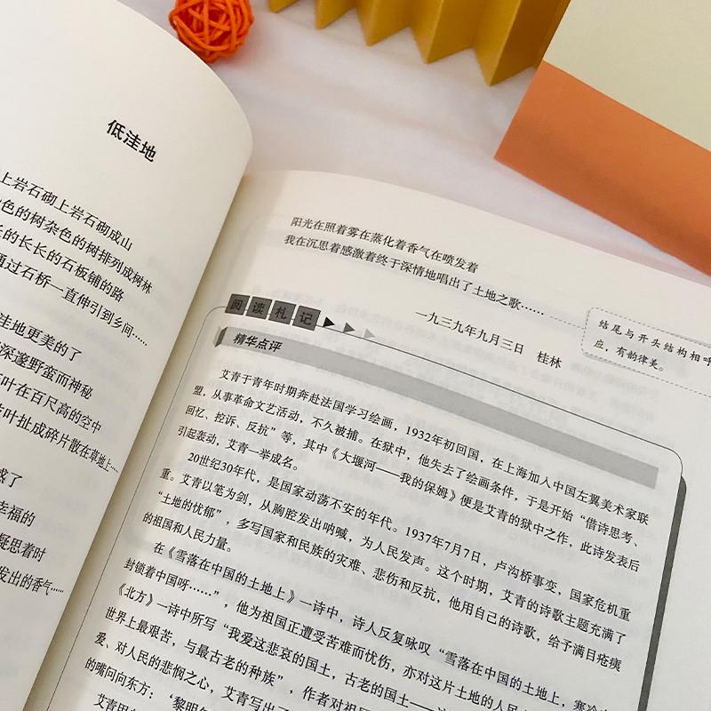 艾青诗选九年级必阅读水浒传原著正版完整版非人民教育出版社人教版初中生全套配套9上册初三学生课外阅世说新语课外书新华书店