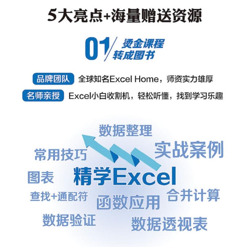 30天精学Excel 从菜鸟到数据分析高手 ExcelHome表格制作教程函数公式大全财务从入门到精通处理透视表应用大全 新华书店正版书籍