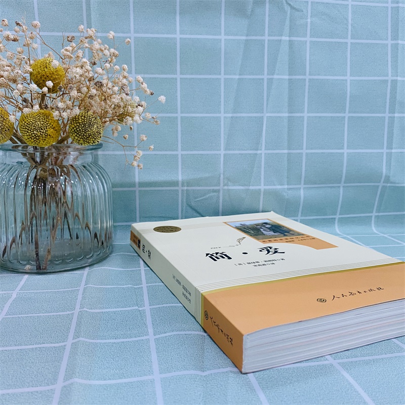 人教版儒林外史九年级必阅读下册简爱原著正版课外书籍名著人民教育出版社完整版无删减初三中学生语文配套教材同步书新华文轩书店