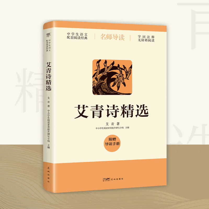 艾青诗选九年级必阅读水浒传原著正版完整版非人民教育出版社人教版初中生全套配套9上册初三学生课外阅世说新语课外书新华书店