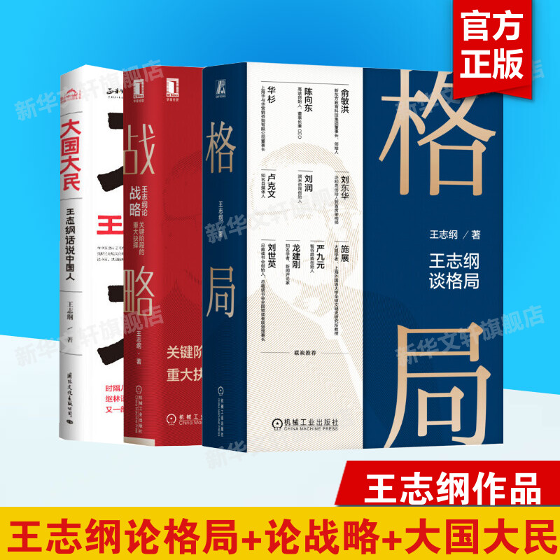 【王志纲作品3册】 王志纲谈格局+王志纲论战略+大国大民 战略认知战略分析战略制定战略实践 智纲智库企业经营管理畅销书新华正版 - 图0