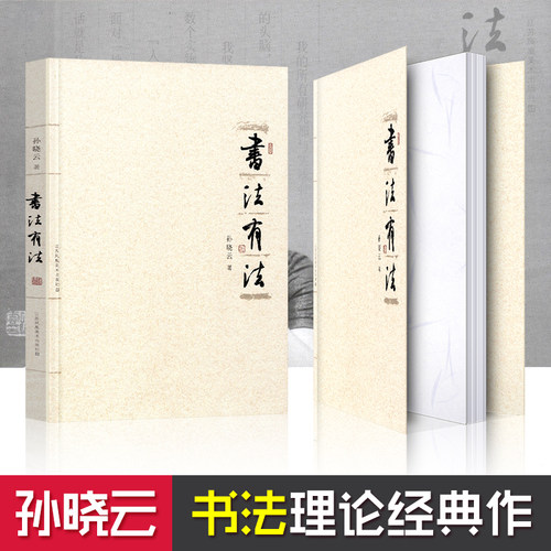 【官方正版】书法有法 孙晓云著 中国书协主席孙晓云书法理论作品 中国传世书法技法 书法名家名品经典书法文化大观分析与训练典籍 - 图3