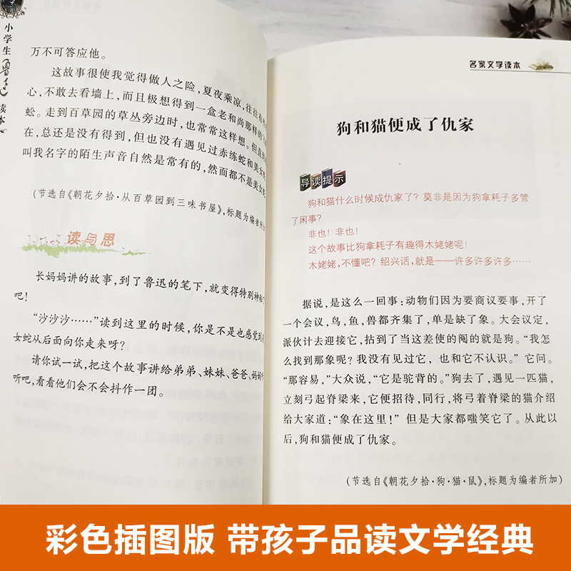 小学生孔子学本 2023年寒假百班千人四年级阅读推荐书目楼淑建著祖庆说联合研制儿童文学必小学生课外书浙江少年儿童出版社正版