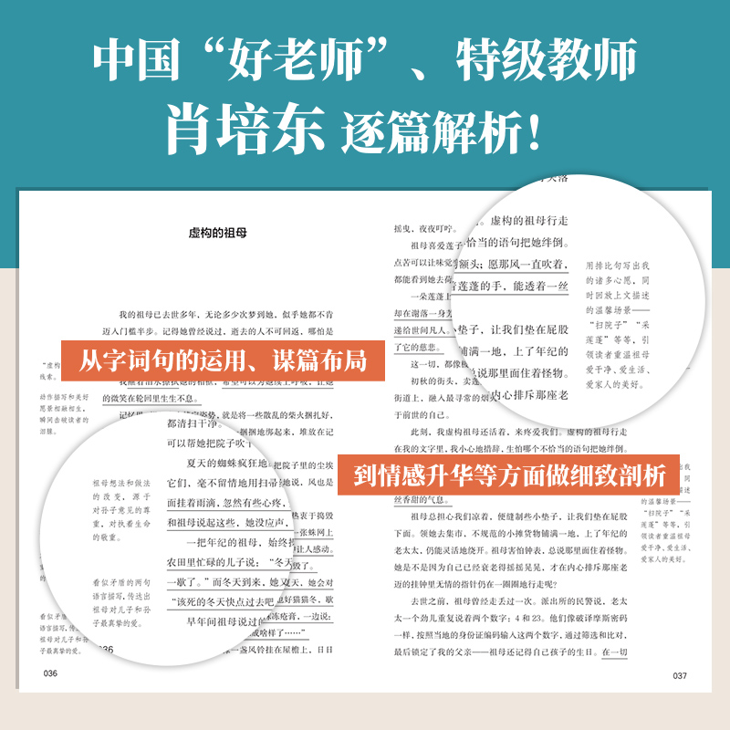 【作文阅读提升全三册】少年不惧岁月长+玫瑰始于荆棘之上+没有到不了的远方 朱成玉 中考语文热点作家作品6789年级作文阅读书籍 - 图2