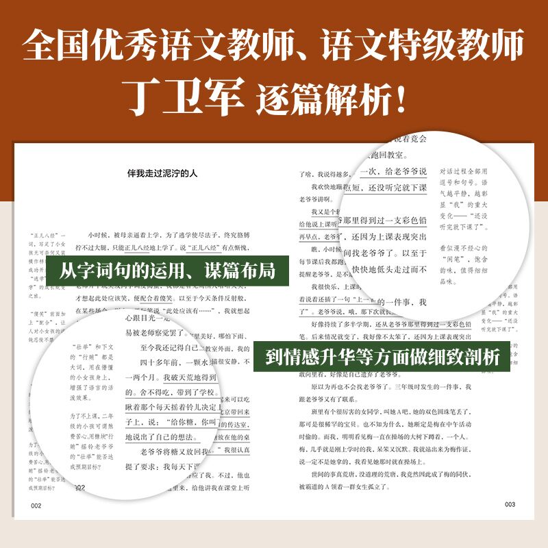 没有到不了的远方中考语文热点作家作品解析语文教师张亚凌的美文选集 6789年级通用初中生语文作文阅读书目中国友谊出版公司-图2