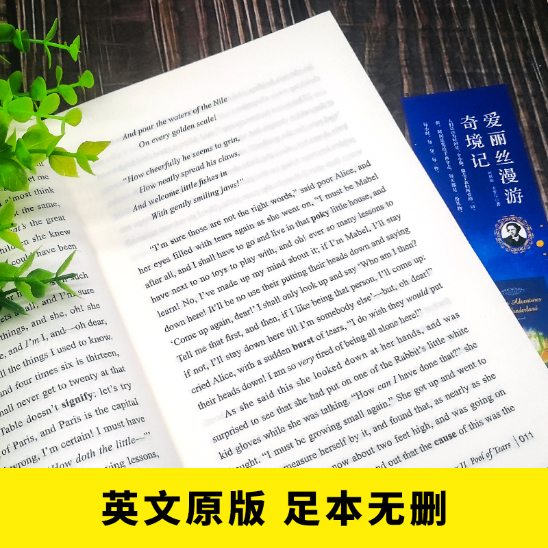 【新华文轩】爱丽丝漫游奇境记(附词汇注解)(英文版)[英]路易斯·卡罗尔正版书籍新华书店旗舰店文轩官网海豚出版社-图1