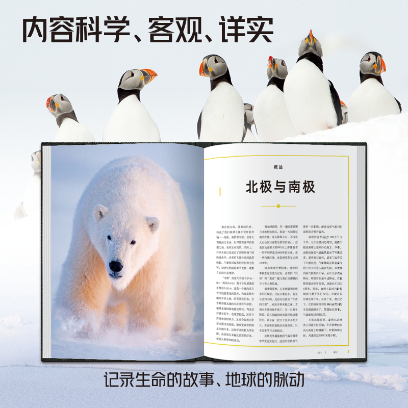 【新华文轩】美国国家地理第一辑全4册7-14岁阅读少儿科普草原之主未至之境蔚蓝之境山峰之巅河流之旅森林之歌万物有灵儿童读物