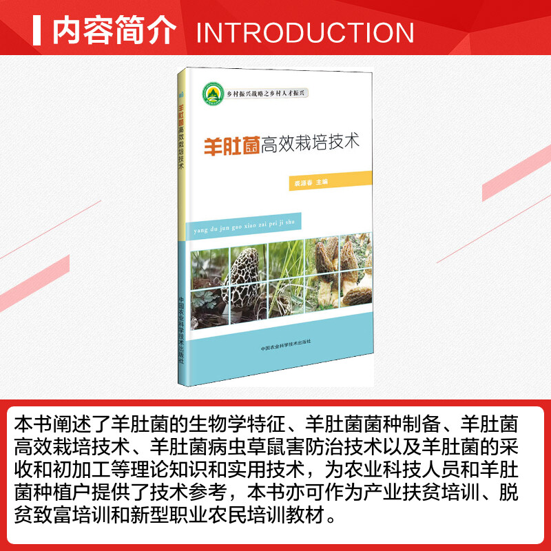 羊肚菌高效栽培技术正版书籍新华书店旗舰店文轩官网中国农业科学技术出版社-图1