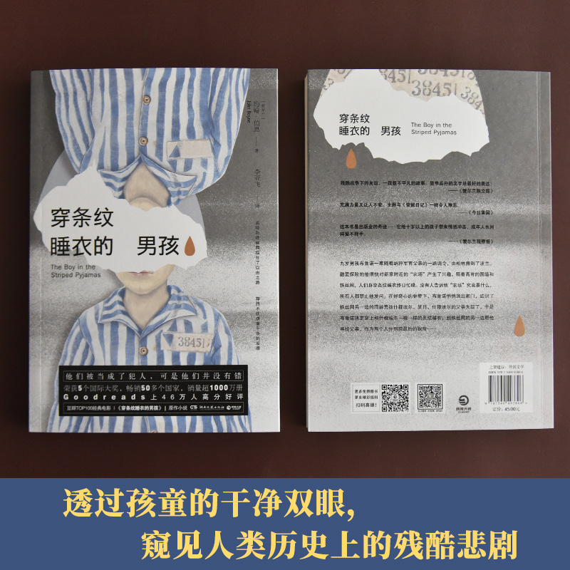 【新华文轩】穿条纹睡衣的男孩 (爱尔兰)约翰·伯恩(John Boyne) 正版书籍小说畅销书 新华书店旗舰店文轩官网 湖南文艺出版社 - 图1