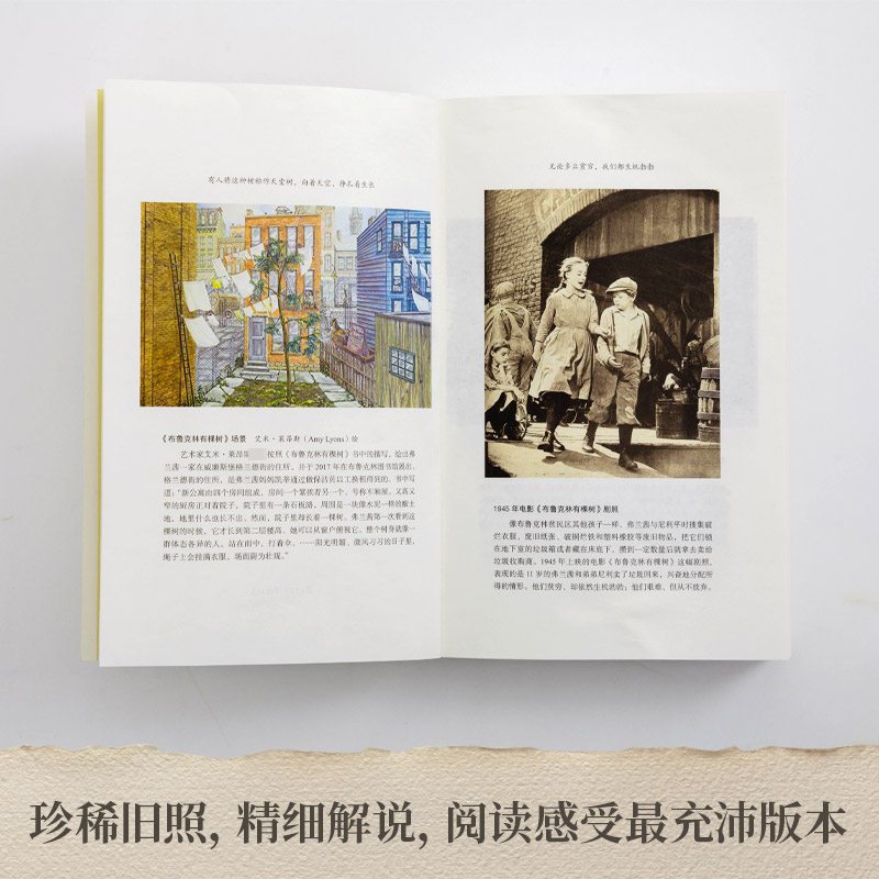 布鲁克林有棵树 出版80周年纪念版 史密斯著 中小学生假期读物课外阅读入选美国中学课本 外国儿童文学小说畅销书籍 新华书店正版 - 图3