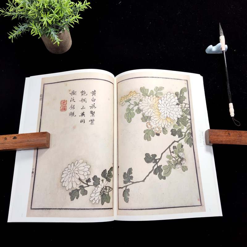 【新华文轩】康熙原版芥子园画传.花鸟卷.菊谱 康熙原版花鸟卷.菊谱(清)王概,(清)王蓍,(清)王臬 编 - 图2