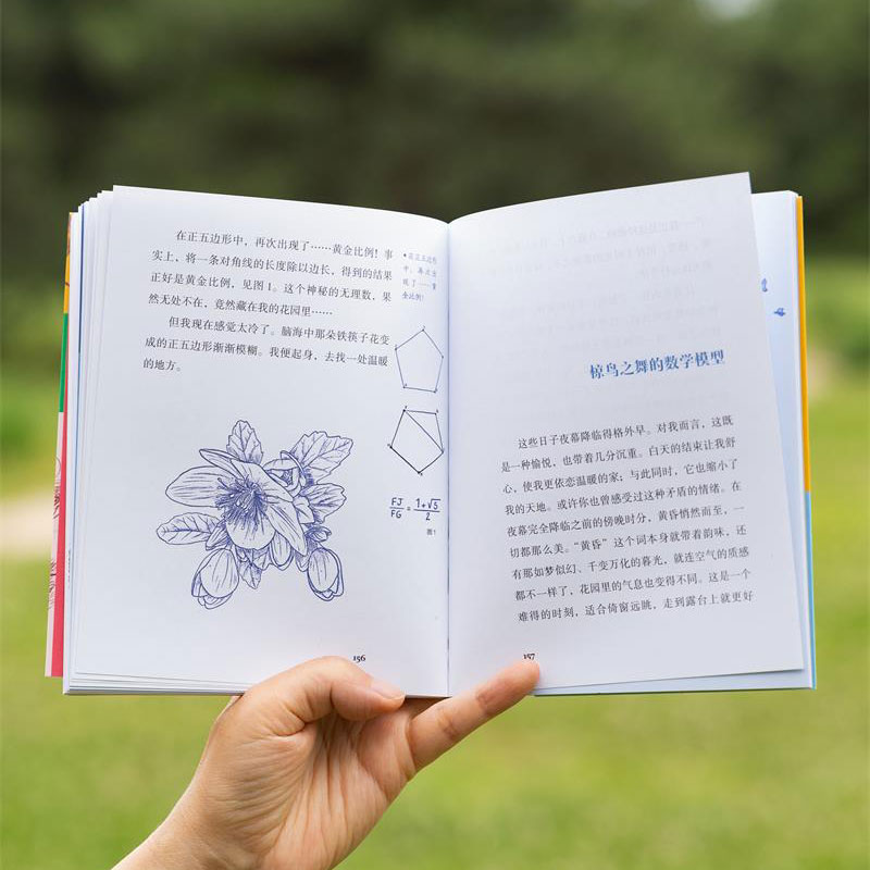 图5