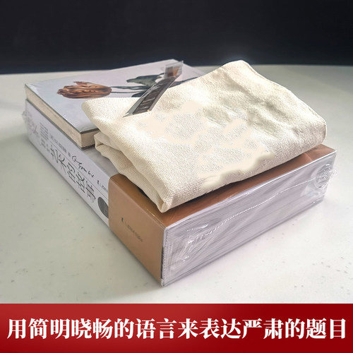 艺术的故事 贡布里希【赠书签+帆布袋+笔记本+笺注+飞机盒】精装典藏西方艺术史经典理论中外美术史 艺术的故事 - 图0