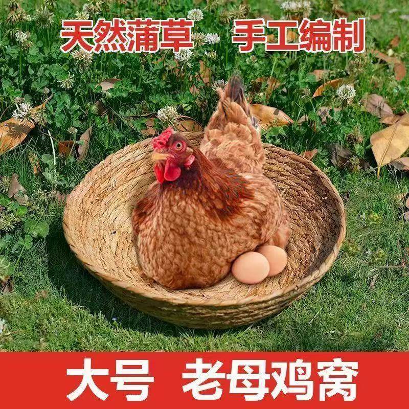 加大鸡窝猫窝鹅鸭狗通用小鸟窝鸽子窝下蛋孵蛋窝天然草编可水洗,淘宝优惠券,粉丝福利购,淘宝优惠卷