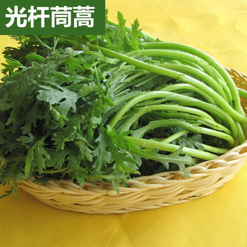光杆大叶小叶茼蒿种子 春夏秋四季蔬菜种子 阳台盆栽大田茼蒿光杆 - 图2