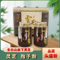 Special-grade Changbai Mountain wild lucid lucid Lingling Lower Lucid Lucid and Lucid Woods 500g Baozhen Northeast Jilin Rolling