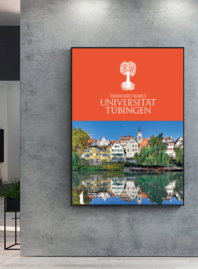 tuebingen卧室定制装饰欧美大学