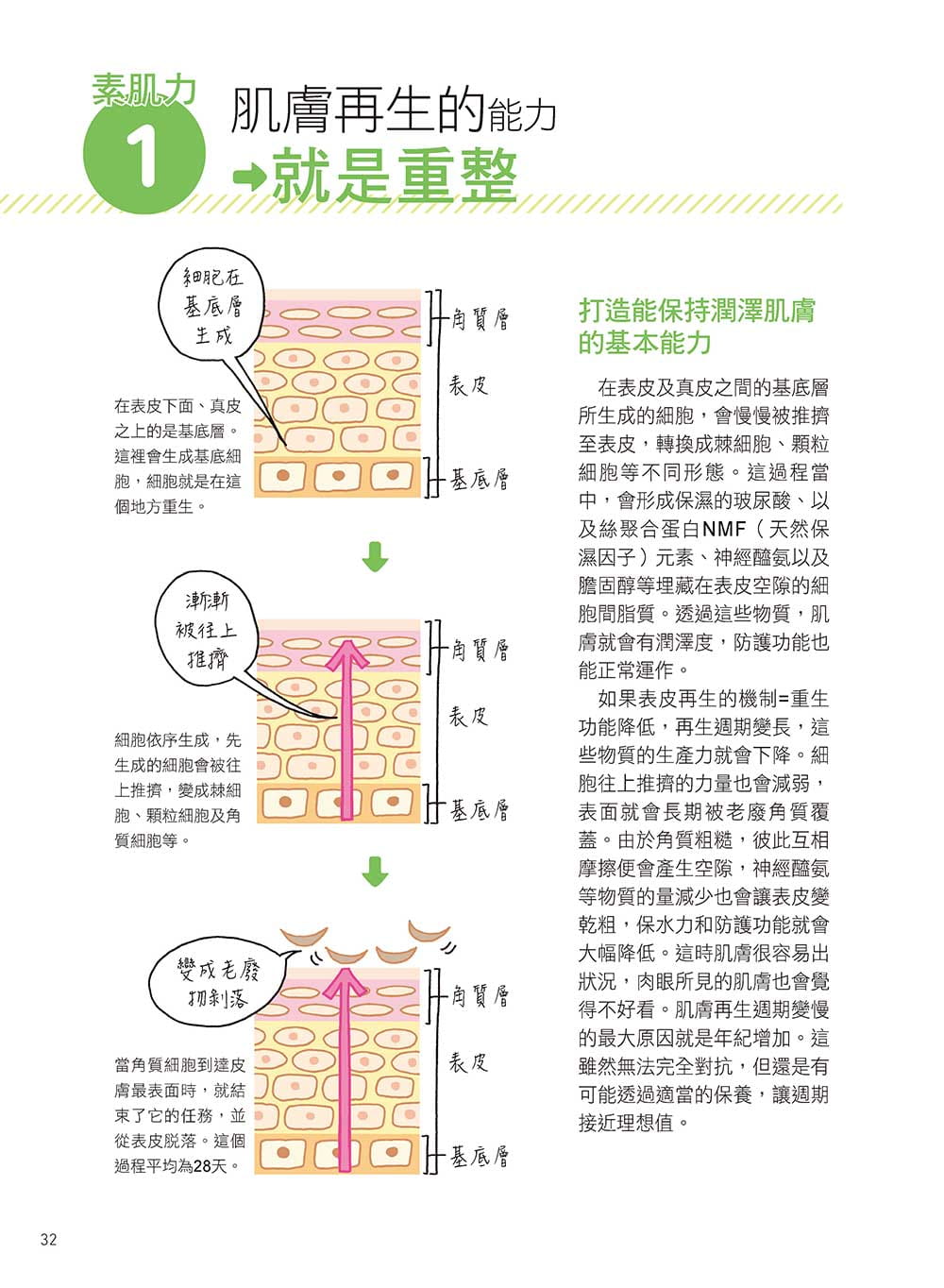 预售 高瀬聪子 皮肤照护教科书：皮肤保养你做对了吗? 晨星