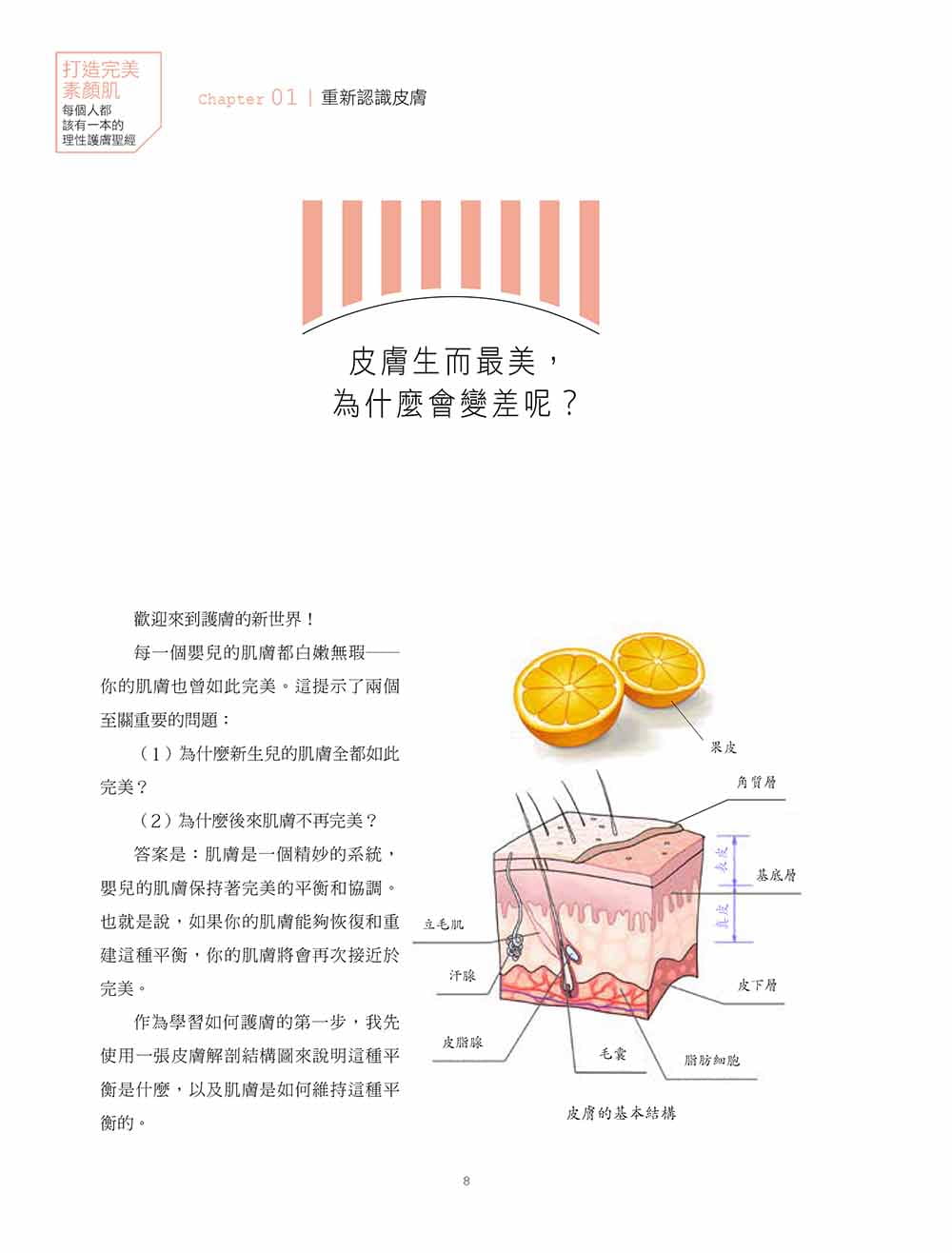 预售正版  冰寒打造素颜肌：每个人都该有一本的理性护肤圣*中国台湾东贩生活风格 原版进口书