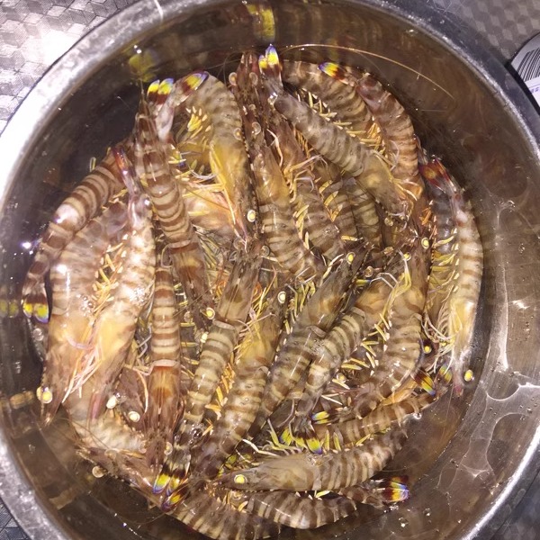 250g 北京闪送 鲜活海鲜基围虾 新鲜水产 活虾明虾九节虾竹节虾,淘宝优惠券,粉丝福利购,淘宝优惠卷