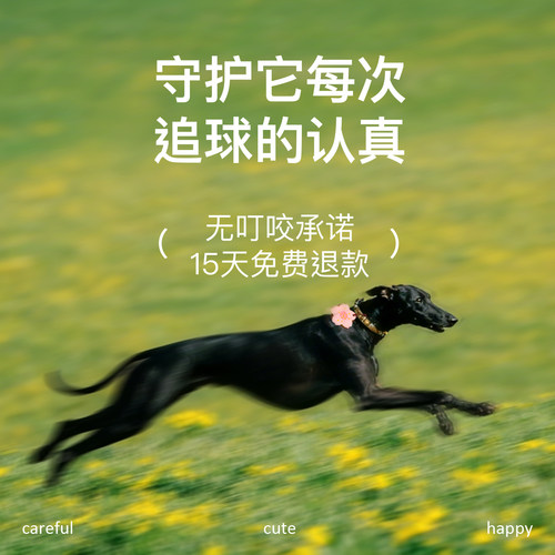 宠物驱虫挂件驱蚊防虫户外露营植物香包香囊挂饰便携防护狗狗随身 - 图3