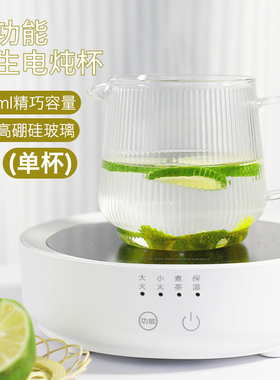 600ml高温炖煮加厚高硼硅养生杯