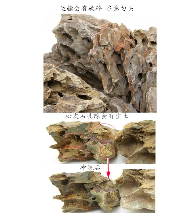 人气天然造景素材松皮石水草缸造景石头微景观盆景假山水族箱装饰,淘宝优惠券,粉丝福利购,淘宝优惠卷