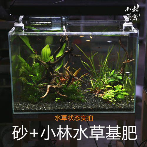 水草基肥 根肥鱼缸水族箱沙陶粒增肥伴侣缓释颗粒肥通用型 - 图2