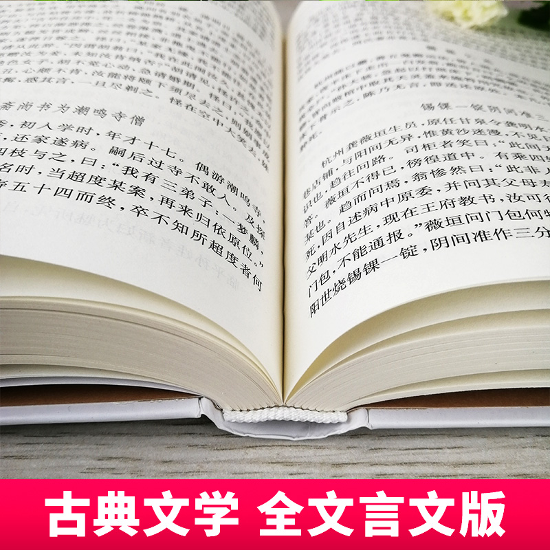 子不语 中国古典小说名著丛书 [清]袁枚 志怪小说 申孟甘林点校 古典文学名著 文学作品 散文 正版图书籍 上海古籍出版社 世纪 - 图3