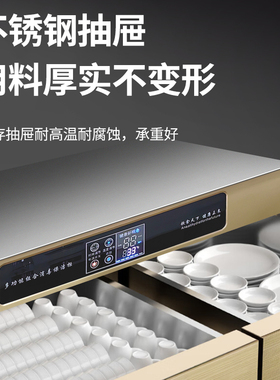 订做嵌入式消毒柜商用定制橱柜消毒碗柜双门餐厅餐具茶水柜保洁柜