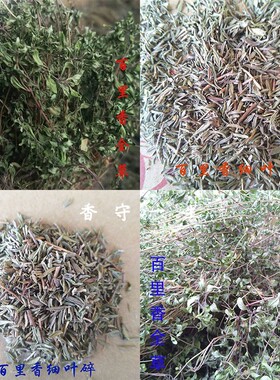 叶绿香绿色种植香守一生量大优惠