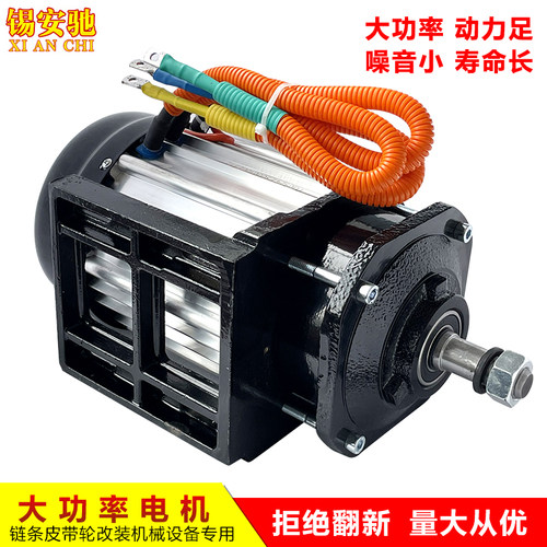 三轮车电机60V1500W油改电皮带轮减速中置无刷电机48V3000W控制器 - 图2