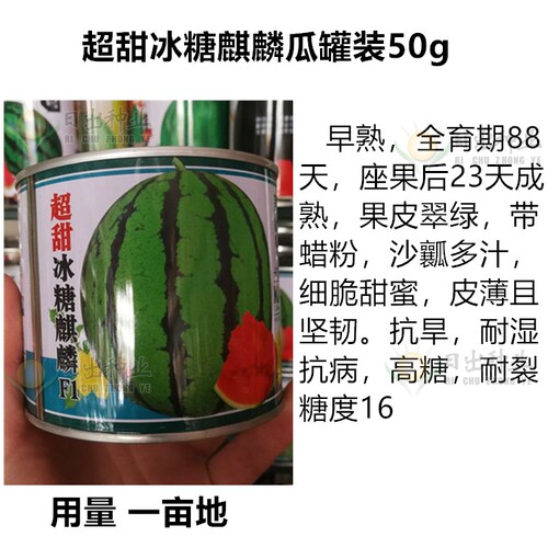 西瓜种子高产甜早熟8424早佳冰糖麒麟王京欣西农八号懒汉特大巨型 - 图0