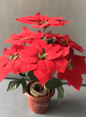 仿真家居客厅植物盆栽红掌摆件