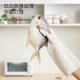 Food grade gloves are 99% antibacterial
