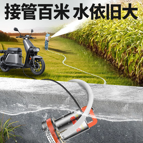 名磊直流潜水泵48v60v72v电动车抽水泵通用电瓶车专用抽水泵农用 - 图0