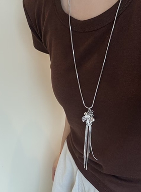 韩式ins风水晶流苏耳钉时尚欧美跨境耳环小众轻奢设计感项链爆款