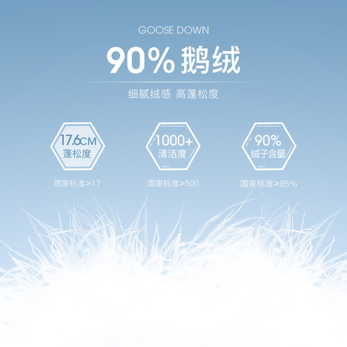 【新品】90%鹅绒BEANPOLE滨波25秋冬男士发热美式休闲羽绒服外套 - 图3