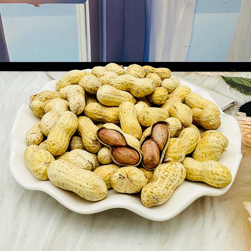 旭东百里挑一山核桃味花生带壳水煮咸味干花生休闲小吃下酒菜零食 - 图0