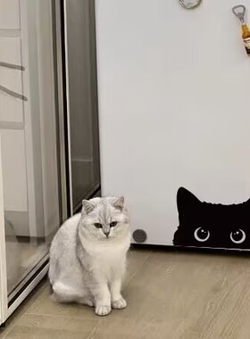 创意可爱搞怪探头猫咪贴纸
